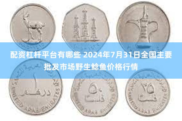 配资杠杆平台有哪些 2024年7月31日全国主要批发市场野生鲶鱼价格行情