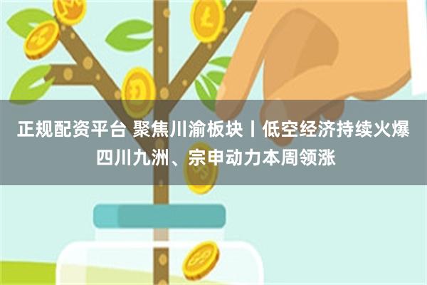 正规配资平台 聚焦川渝板块丨低空经济持续火爆 四川九洲、宗申动力本周领涨