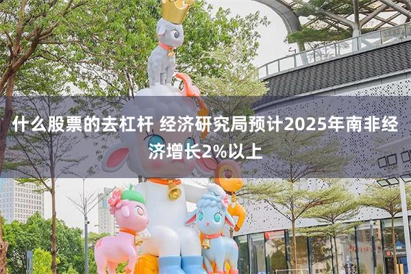 什么股票的去杠杆 经济研究局预计2025年南非经济增长2%以上