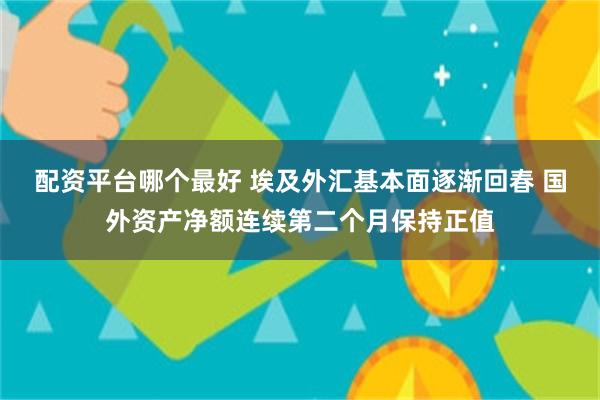 配资平台哪个最好 埃及外汇基本面逐渐回春 国外资产净额连续第二个月保持正值