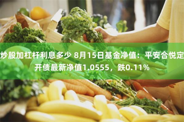 炒股加杠杆利息多少 8月15日基金净值：平安合悦定开债最新净值1.0555，跌0.11%