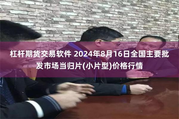 杠杆期货交易软件 2024年8月16日全国主要批发市场当归片(小片型)价格行情