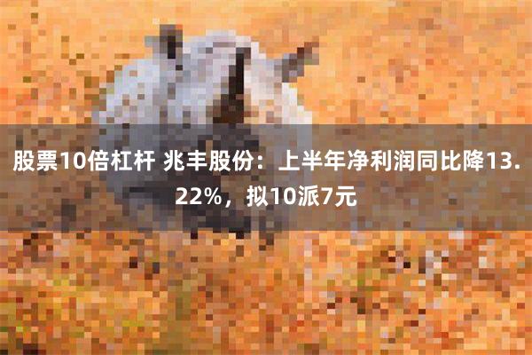 股票10倍杠杆 兆丰股份：上半年净利润同比降13.22%，拟10派7元