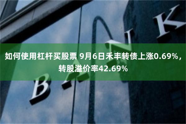 如何使用杠杆买股票 9月6日禾丰转债上涨0.69%，转股溢价率42.69%