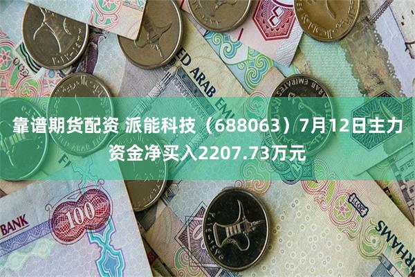 靠谱期货配资 派能科技（688063）7月12日主力资金净买入2207.73万元