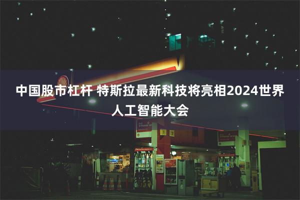 中国股市杠杆 特斯拉最新科技将亮相2024世界人工智能大会