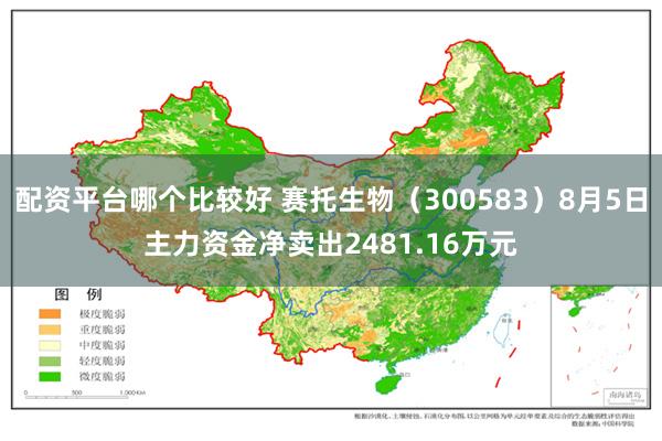 配资平台哪个比较好 赛托生物（300583）8月5日主力资金净卖出2481.16万元