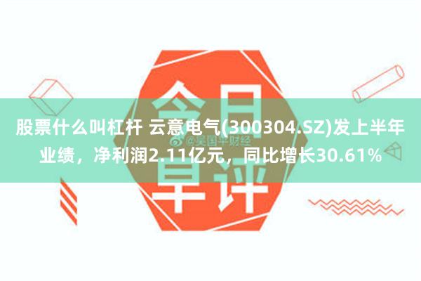 股票什么叫杠杆 云意电气(300304.SZ)发上半年业绩，净利润2.11亿元，同比增长30.61%