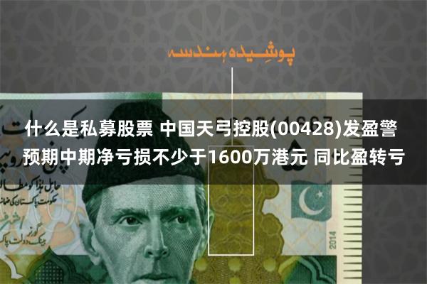 什么是私募股票 中国天弓控股(00428)发盈警 预期中期净亏损不少于1600万港元 同比盈转亏