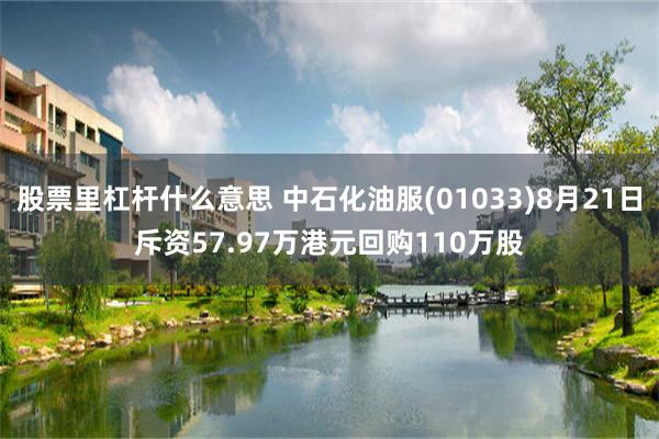 股票里杠杆什么意思 中石化油服(01033)8月21日斥资57.97万港元回购110万股