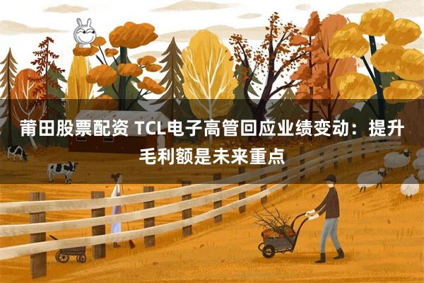 莆田股票配资 TCL电子高管回应业绩变动：提升毛利额是未来重点