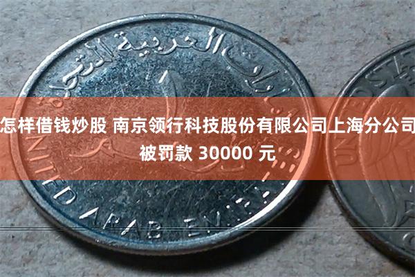 怎样借钱炒股 南京领行科技股份有限公司上海分公司被罚款 30000 元