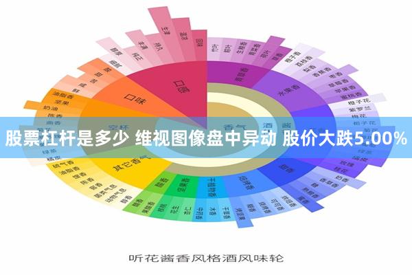 股票杠杆是多少 维视图像盘中异动 股价大跌5.00%