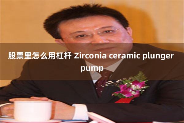 股票里怎么用杠杆 Zirconia ceramic plunger pump