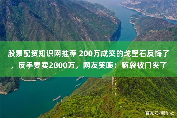 股票配资知识网推荐 200万成交的戈壁石反悔了，反手要卖2800万，网友笑喷：脑袋被门夹了