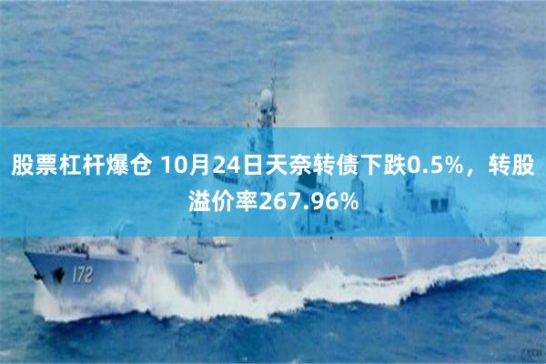 股票杠杆爆仓 10月24日天奈转债下跌0.5%，转股溢价率267.96%