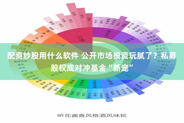 配资炒股用什么软件 公开市场投资玩腻了？私募股权成对冲基金“新宠”