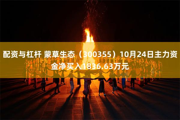 配资与杠杆 蒙草生态（300355）10月24日主力资金净买入1836.63万元