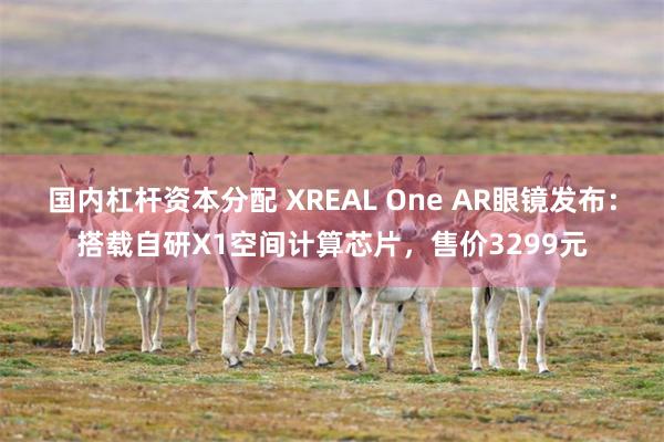 国内杠杆资本分配 XREAL One AR眼镜发布：搭载自研X1空间计算芯片，售价3299元