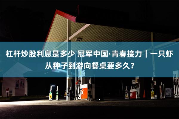 杠杆炒股利息是多少 冠军中国·青春接力｜一只虾从种子到游向餐桌要多久？