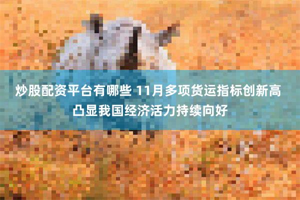 炒股配资平台有哪些 11月多项货运指标创新高 凸显我国经济活力持续向好