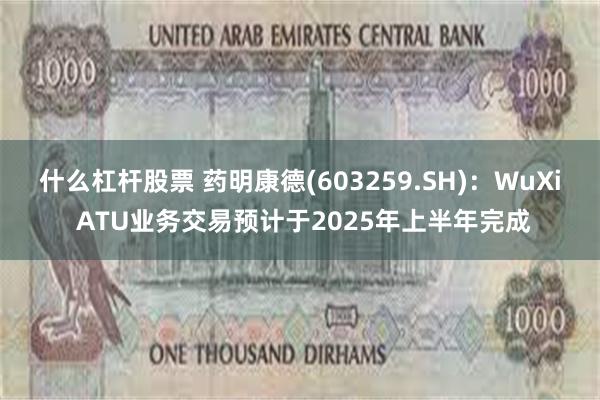 什么杠杆股票 药明康德(603259.SH)：WuXi ATU业务交易预计于2025年上半年完成