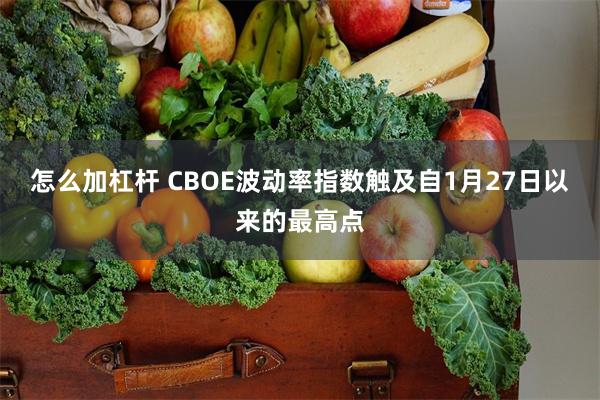 怎么加杠杆 CBOE波动率指数触及自1月27日以来的最高点