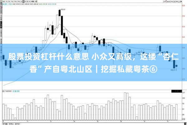 股票投资杠杆什么意思 小众又高级，这缕“杏仁香”产自粤北山区｜挖掘私藏粤茶⑥