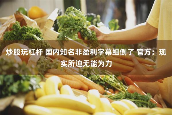炒股玩杠杆 国内知名非盈利字幕组倒了 官方：现实所迫无能为力