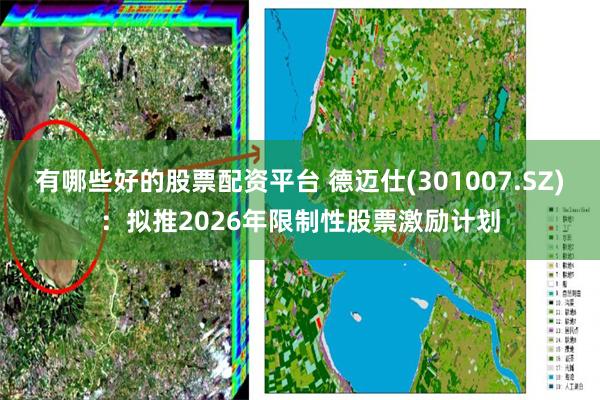 有哪些好的股票配资平台 德迈仕(301007.SZ)：拟推2026年限制性股票激励计划